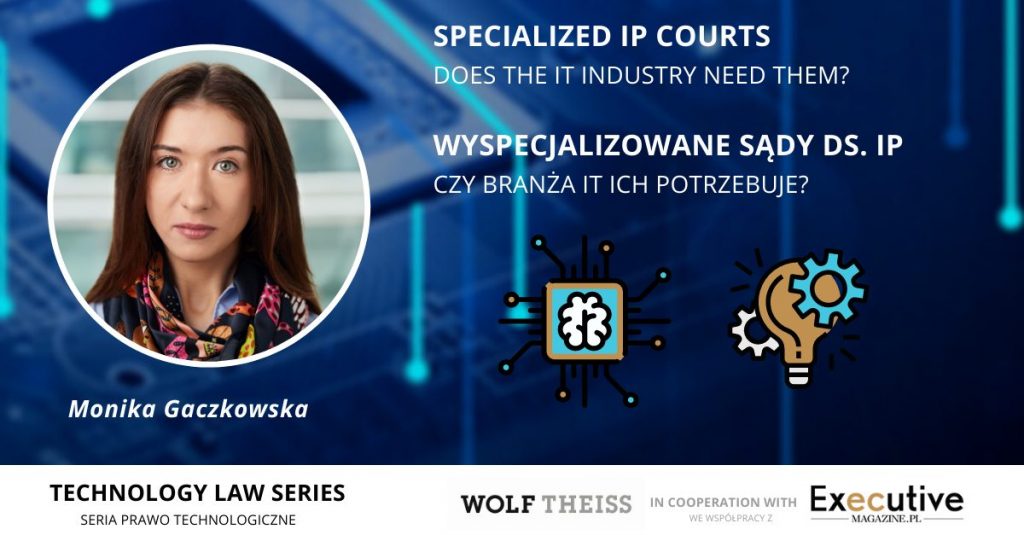 SPECIALIZED IP COURTS – does the IT industry need them?
