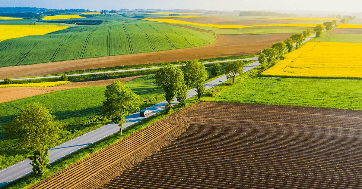 Europejskie rolnictwo przestawia się na bardziej zrównoważone. Polska już teraz zużywa mniej nawozów i środków ochrony roślin