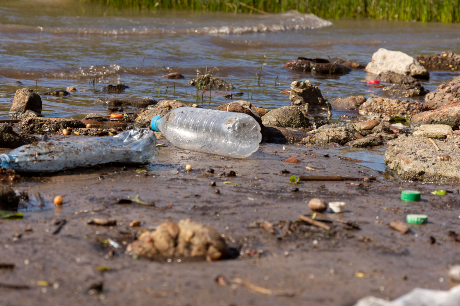 Mniej niż 2 proc. polskich rzek ma czystą wodę zdatną do picia. Podczas akcji sprzątania wolontariusze zbierają setki ton śmieci
