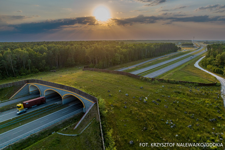 Nowoczesna infrastruktura drogowa… dla zwierząt