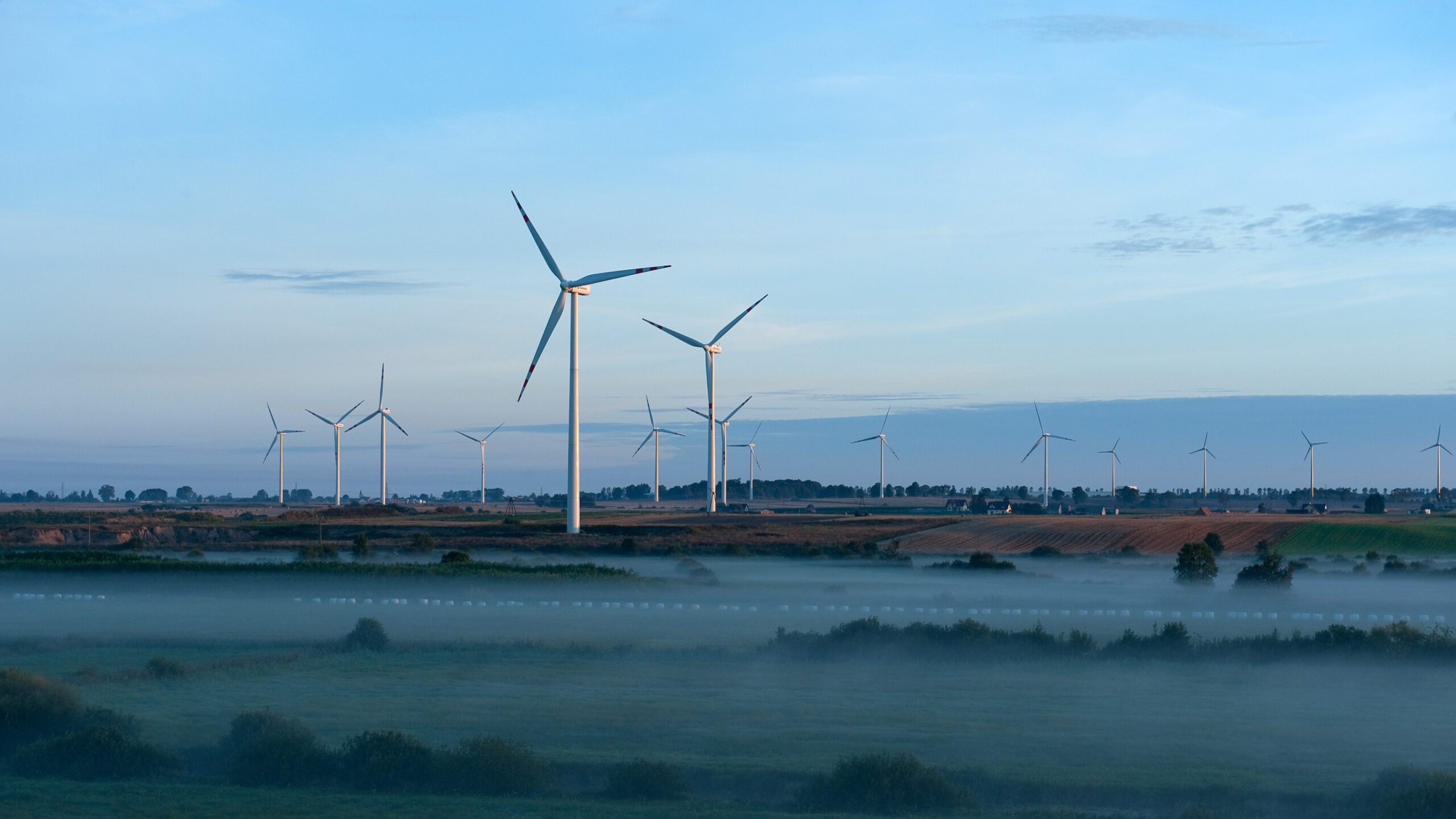 Nowy dyrektor ds. komunikacji w Polenergii