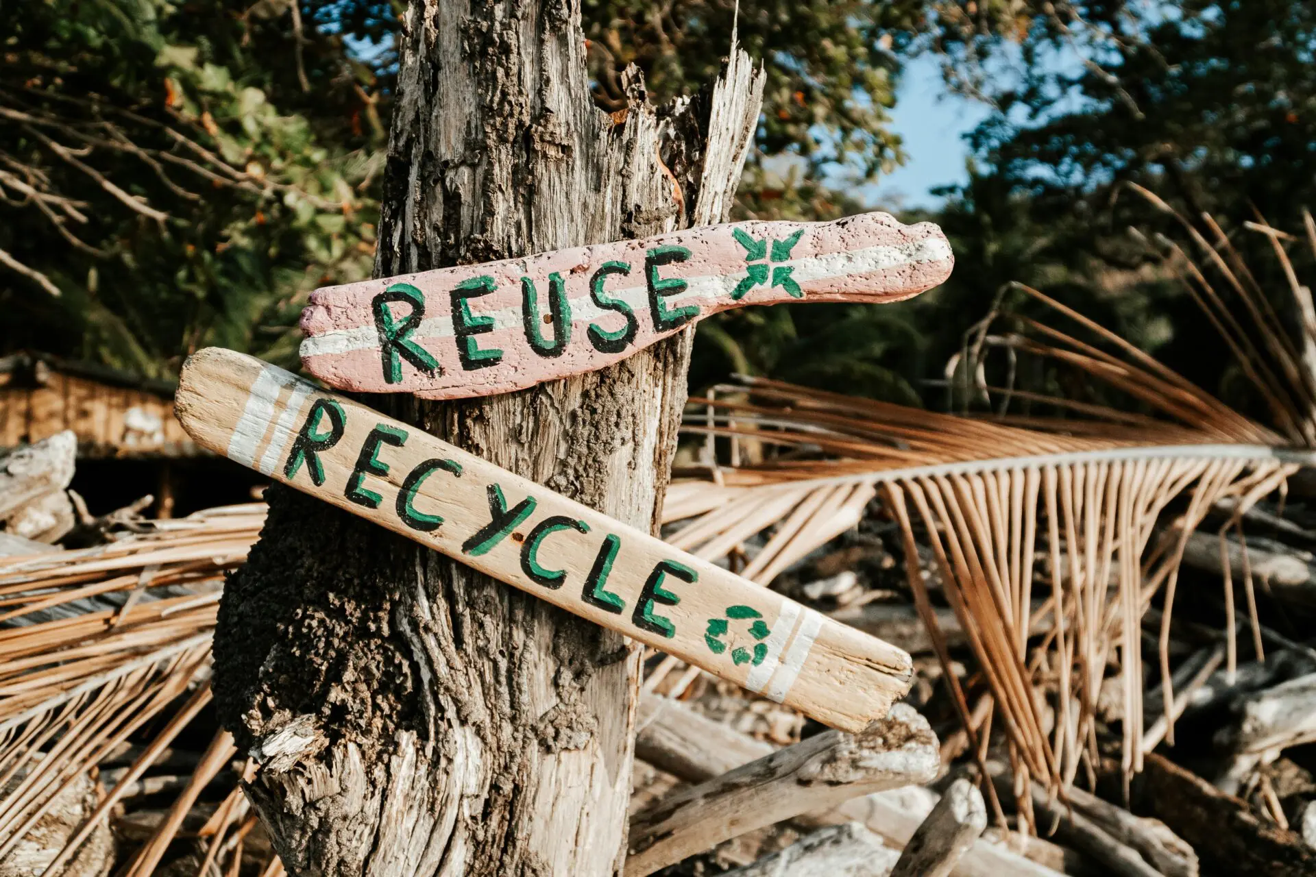 Zrzucanie odpowiedzialności za segregację tekstyliów na gminy to błąd, uważa prezes Stowarzyszenia ,,Polski Recykling”