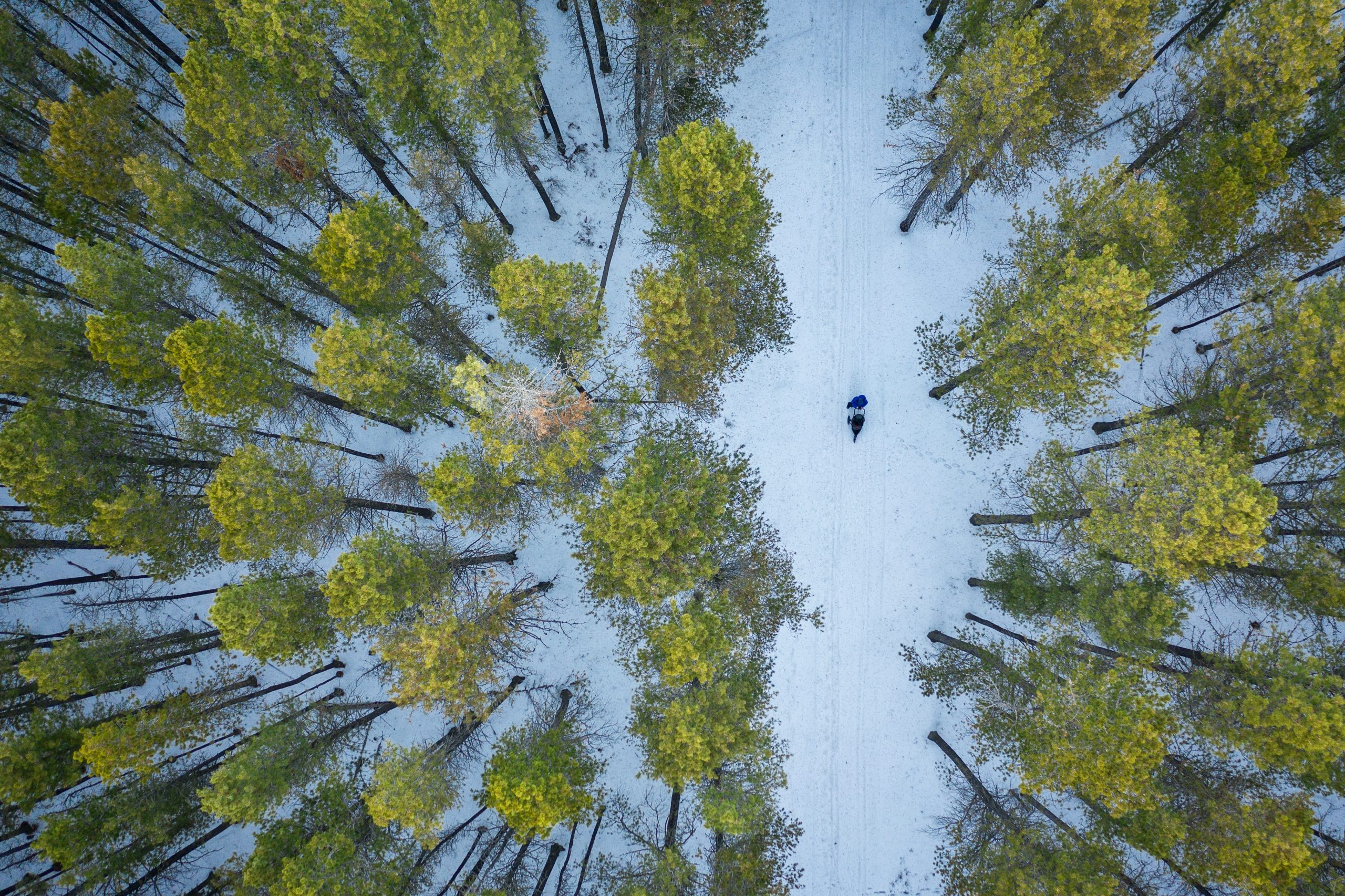 Fundacja BNP Paribas i ponad 50 organizacji społecznych już od roku działają wspólnie na rzecz klimatu