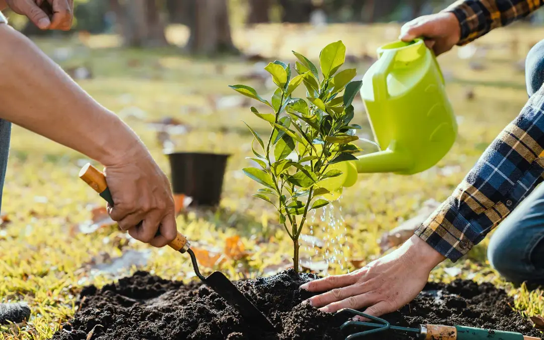 CSR a ESG – podstawowe różnice