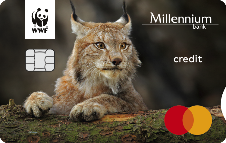 Bank Millennium i Fundacja WWF Polska przedłużają partnerstwo dla dobra przyrody