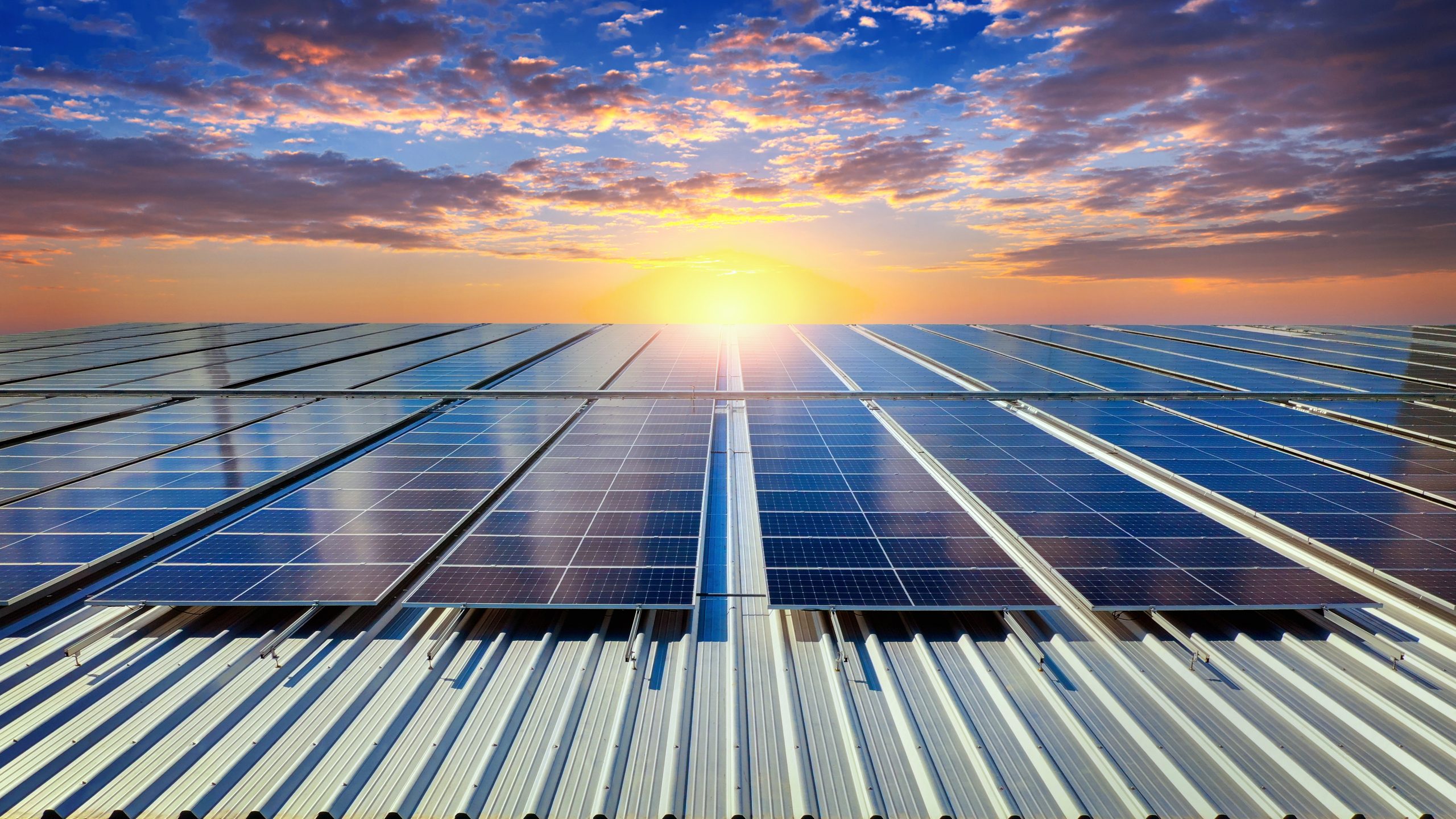 Solavita na targach Intersolar 2025 – kształtowanie przyszłości energii