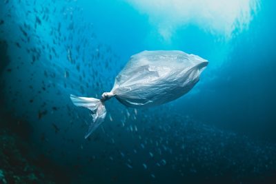 Mikroplastik w pobliskim oceanie to więcej chorób