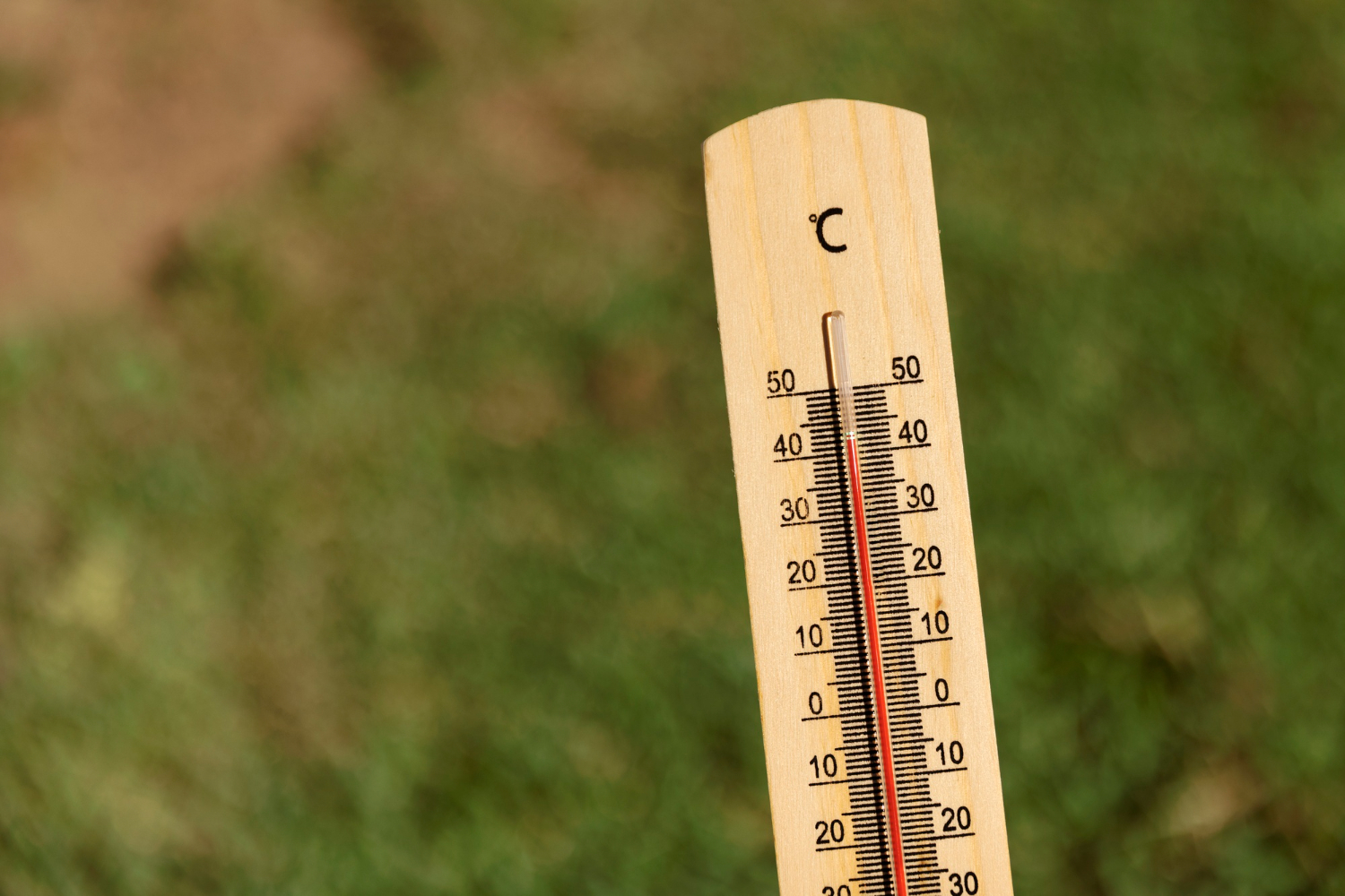 Rekordowe upały i rosnące ryzyko klimatyczne – nowy raport WMO nie pozostawia złudzeń