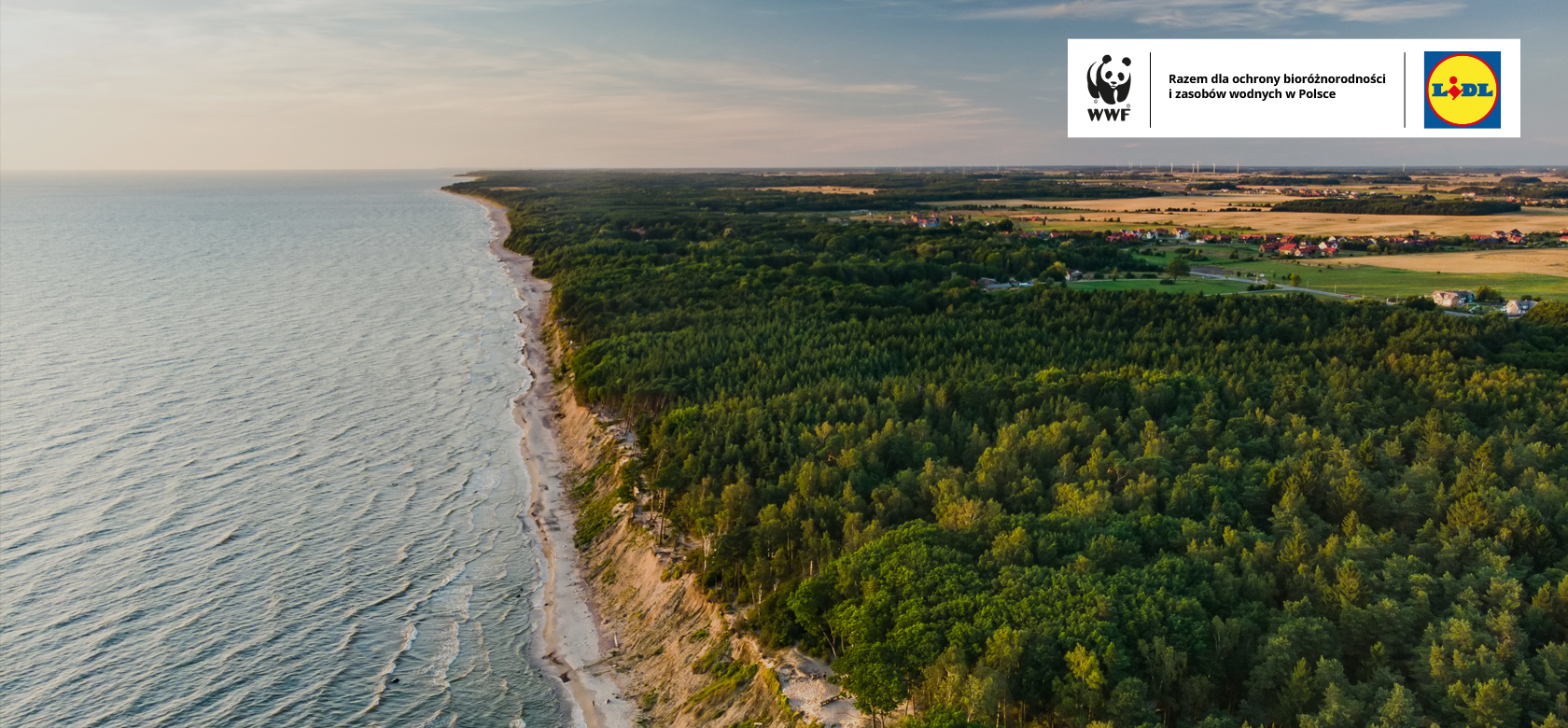 Fundacja WWF Polska i Lidl Polska łączą siły na rzecz ochrony bioróżnorodności i zasobów wodnych