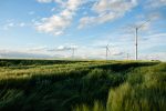 Branża energetyki wiatrowej dopomina się o wsparcie ze strony rządu