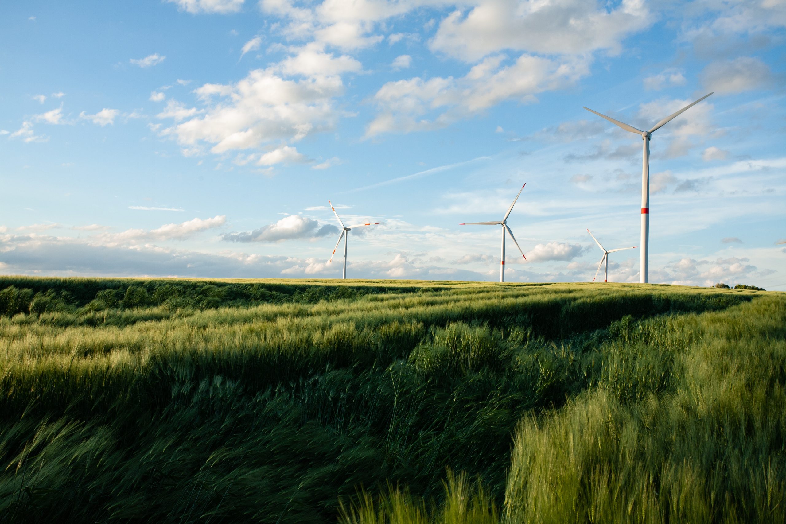Branża energetyki wiatrowej dopomina się o wsparcie ze strony rządu