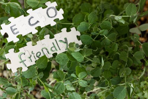 Marketing bez greenwashingu: Czego unikać w komunikacji firmy?