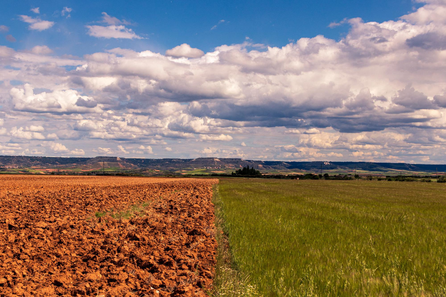 Wyśrubowane cele polityki klimatycznej krytykowane przez sektor rolnictwa i producentów żywności. Za mało środków i za dużo obciążeń