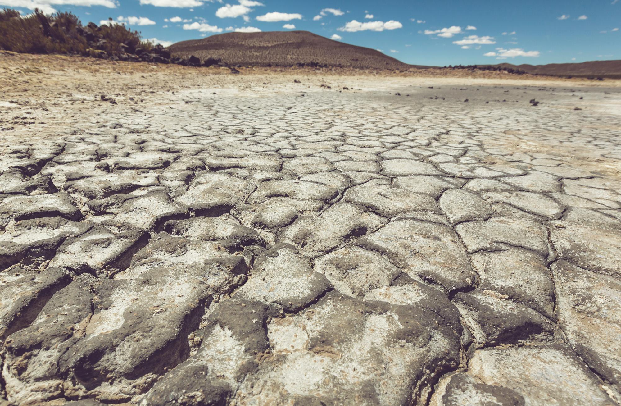 Ten rok wyjątkowo trudny pod względem suszy hydrologicznej. To zwiększa zagrożenie pożarami w lasach