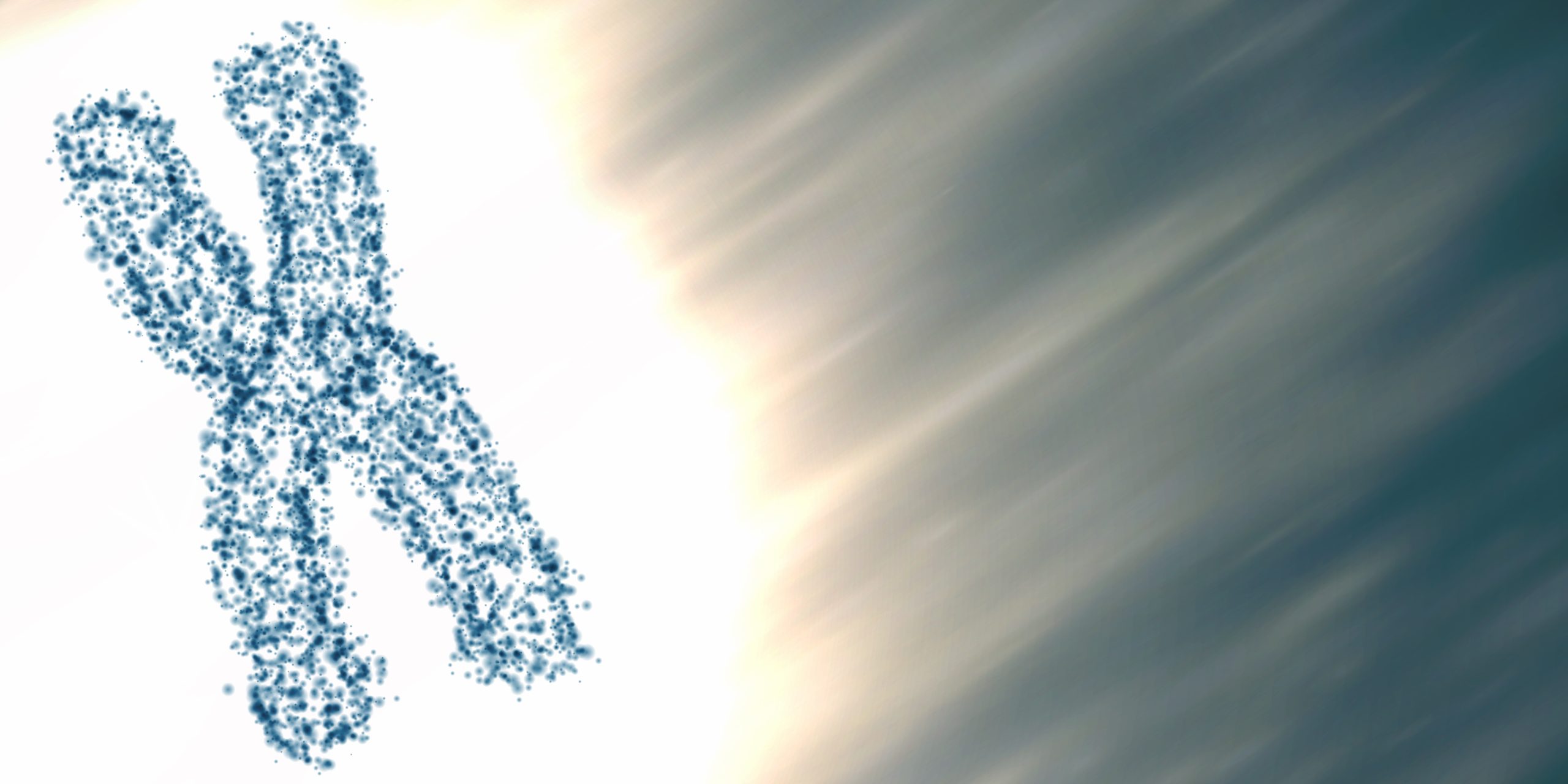Sztuczna inteligencja liczy uszkodzone chromosomy