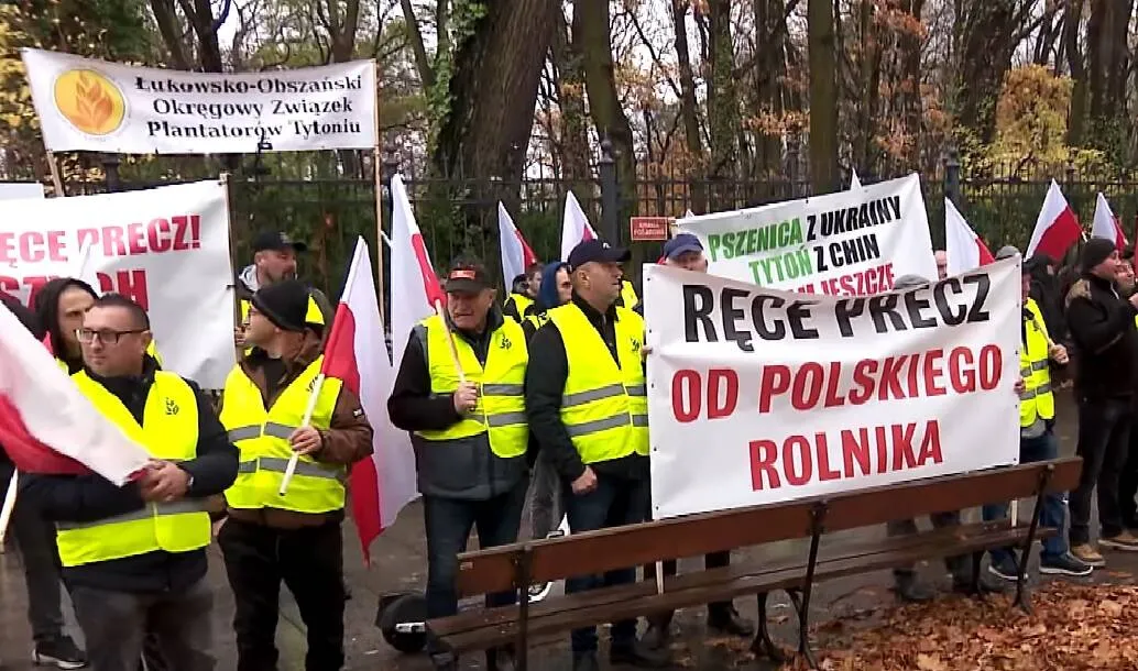 Polscy plantatorzy tytoniu protestują przeciwko planom WHO i UE. Ostrzegają, że nowe regulacje mogą doprowadzić do likwidacji całego sektora