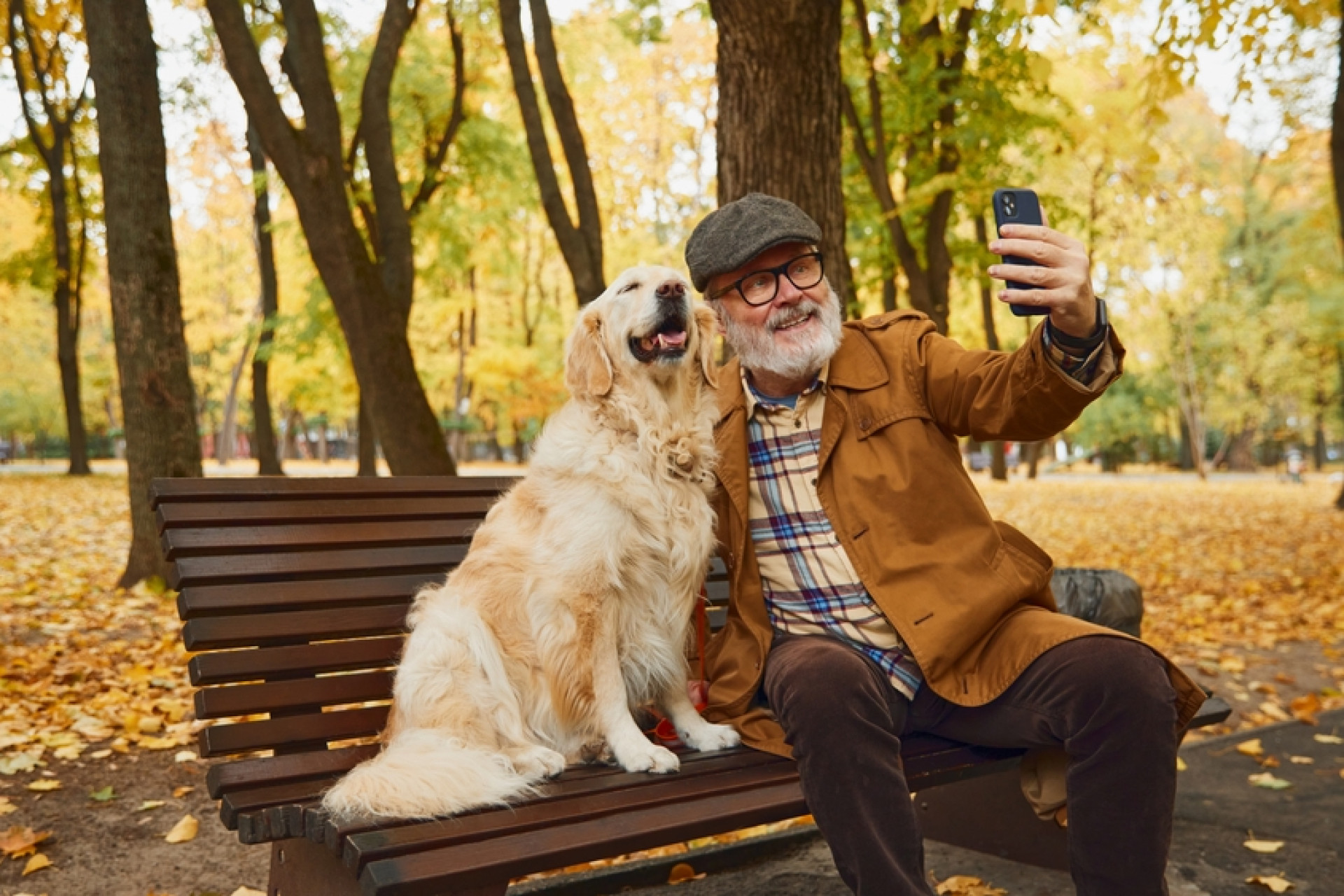 Seniorzy są najszybciej rosnącą grupą opiekunów zwierząt domowych. Czworonogi wspierają ich zdrowie fizyczne i psychiczne
