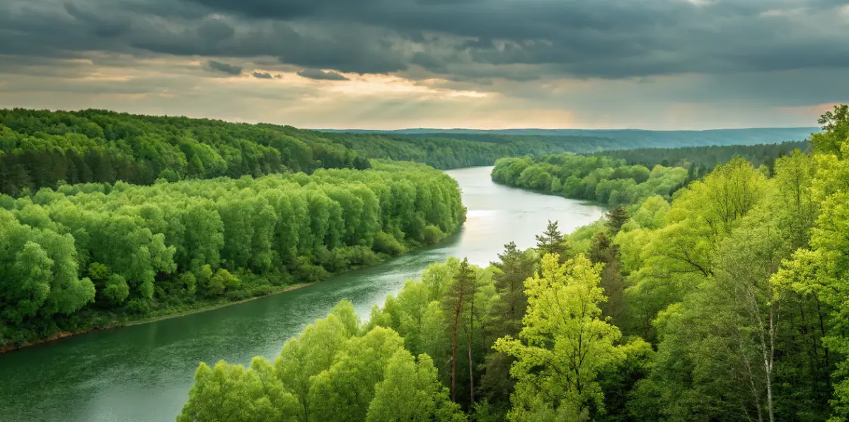 UE nadal chce przewodzić globalnym wysiłkom na rzecz ochrony środowiska. Niezbędne może być urealnienie celów klimatycznych