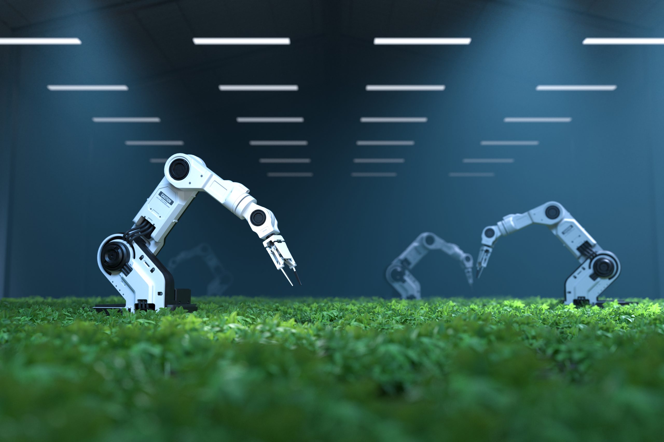 AI w robotyce. Raport IFR o transformacji przemysłu AI w robotyce. Raport IFR o transformacji przemysłu