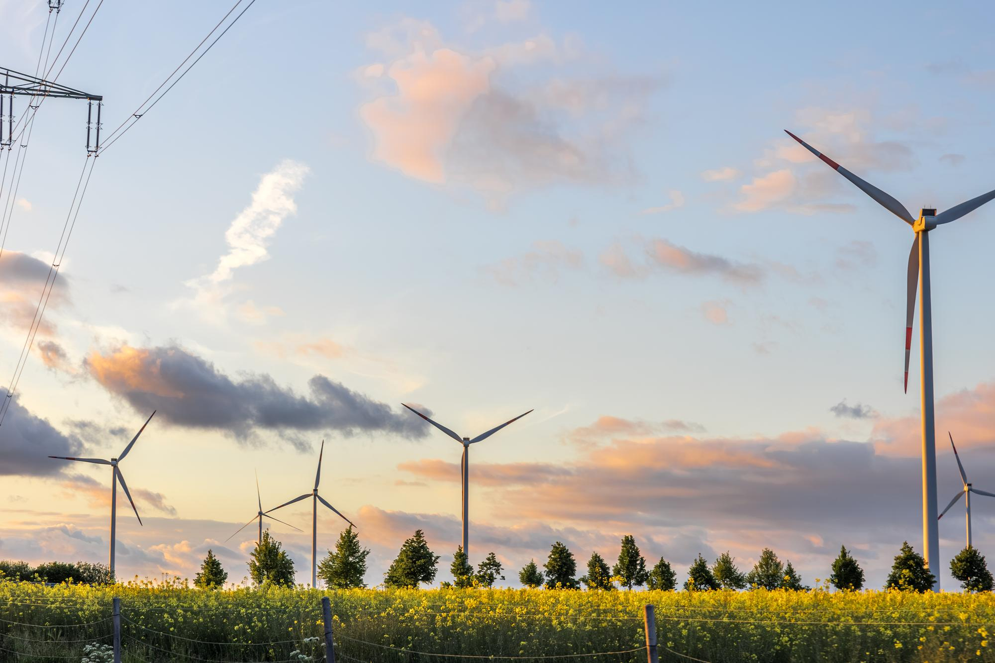 Ponad 30 proc. energii elektrycznej w Polsce jest produkowane w odnawialnych źródłach. Zielona transformacja energetyczna wciąż napotyka bariery Ponad 30 proc. energii elektrycznej w Polsce jest produkowane w odnawialnych źródłach. Zielona transformacja energetyczna wciąż napotyka bariery