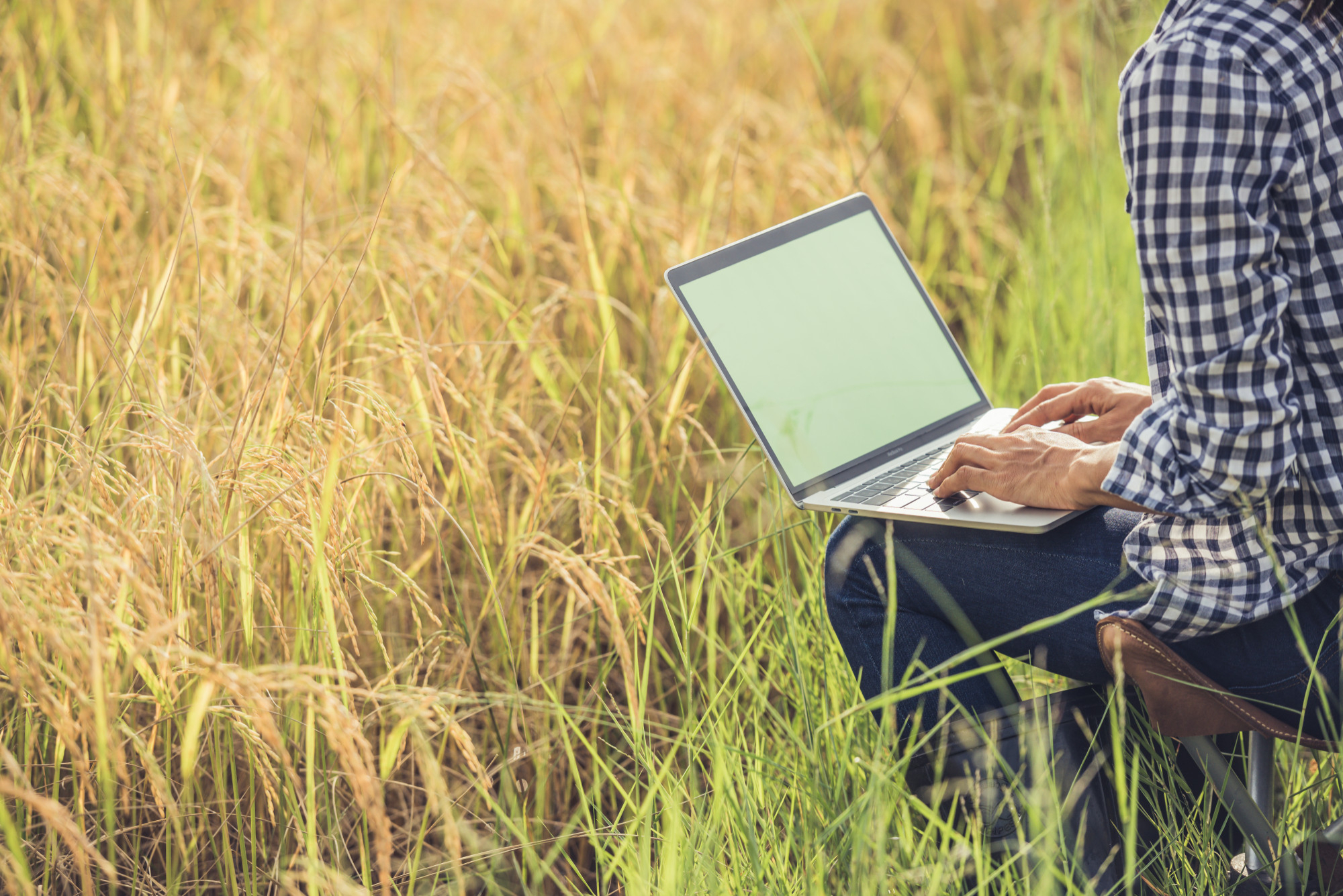 AI i biotechnologia dla rolnictwa. Konkurs dla start-upów pokazał kierunki rozwoju sektora agritech