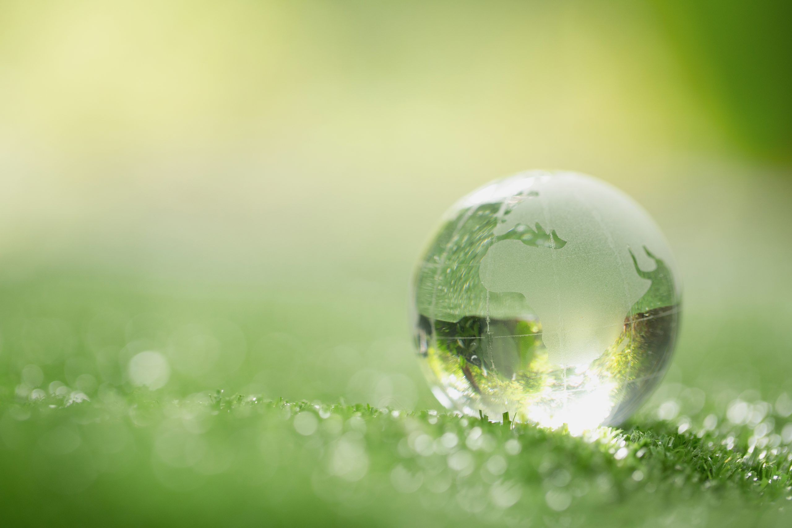Smurfit Westrock wyznacza nowe cele Better Planet Targets i przedstawia osiągnięcia w obszarze zrównoważonego rozwoju Smurfit Westrock wyznacza nowe cele Better Planet Targets i przedstawia osiągnięcia w obszarze zrównoważonego rozwoju