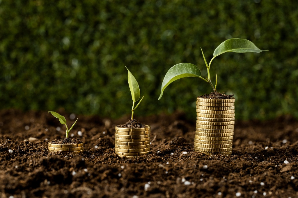 Finanse dla klimatu. Jak działają zielone instrumenty
