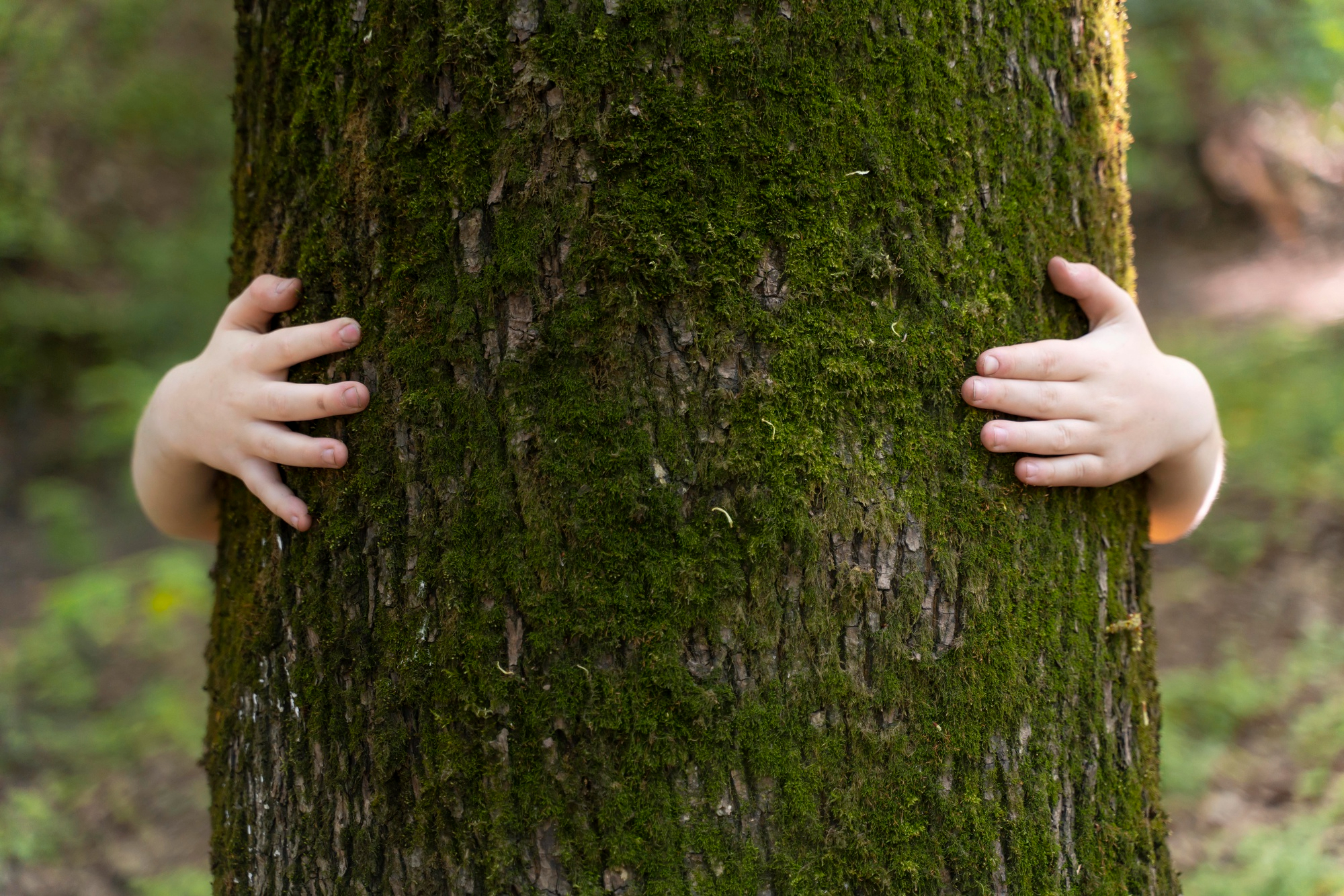 Sama transformacja energetyczna nie wystarczy. Bez ochrony przyrody nie uda się ograniczyć skutków zmiany klimatu