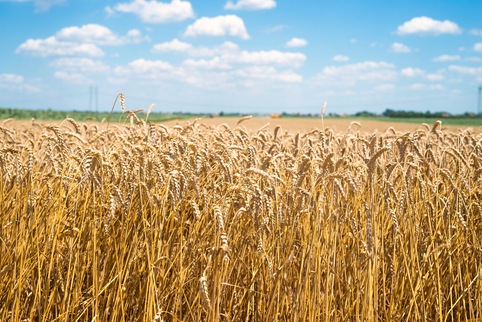 UE zatwierdza wsparcie dla rolników w związku z wysokimi cenami nawozów. Do Polski trafi ponad 66 mln euro