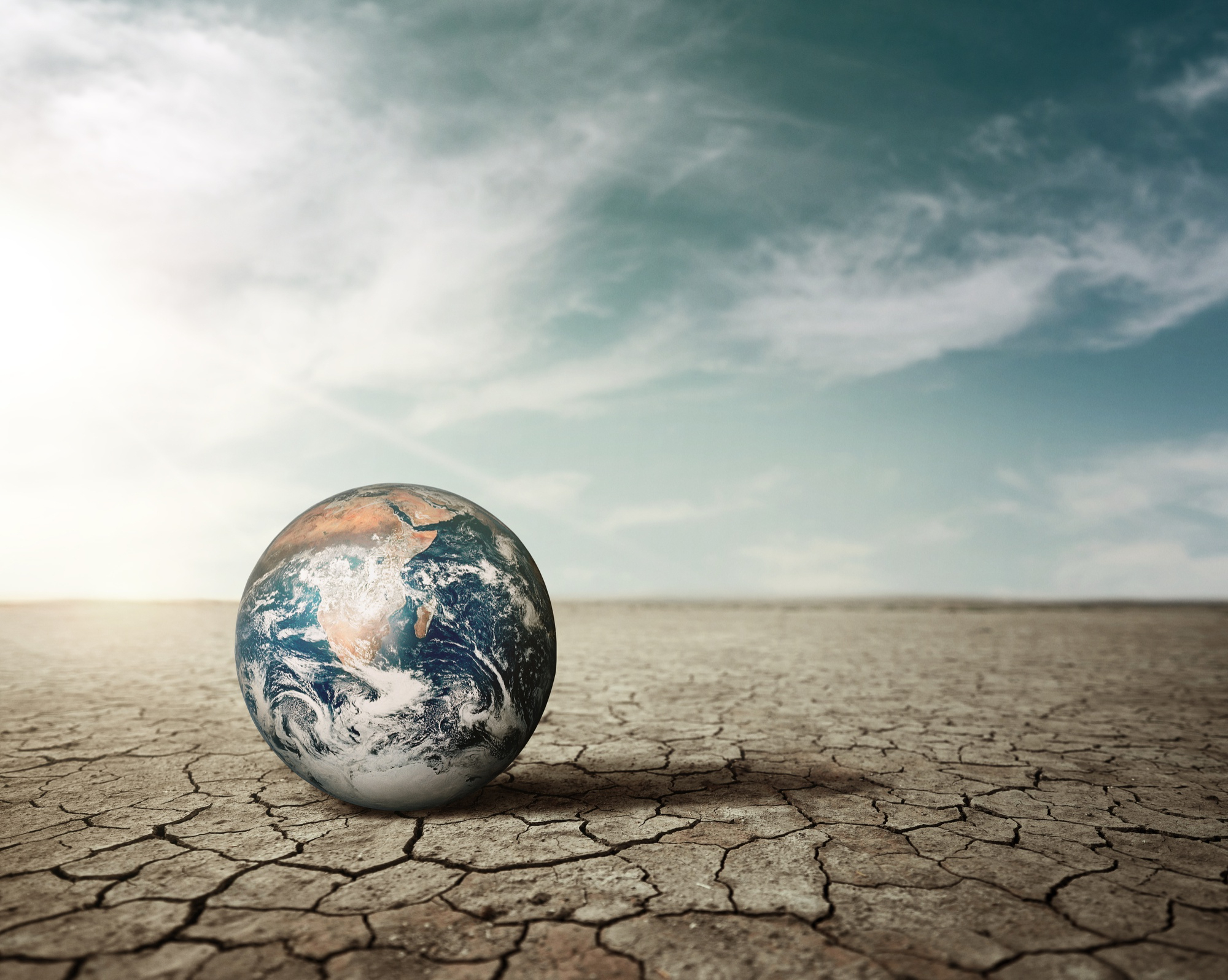 Naukowcy prognozują najsilniejsze El Niño w historii pomiarów. Polacy mogą odczuć jego skutki w cenach żywności Naukowcy prognozują najsilniejsze El Niño w historii pomiarów. Polacy mogą odczuć jego skutki w cenach żywności