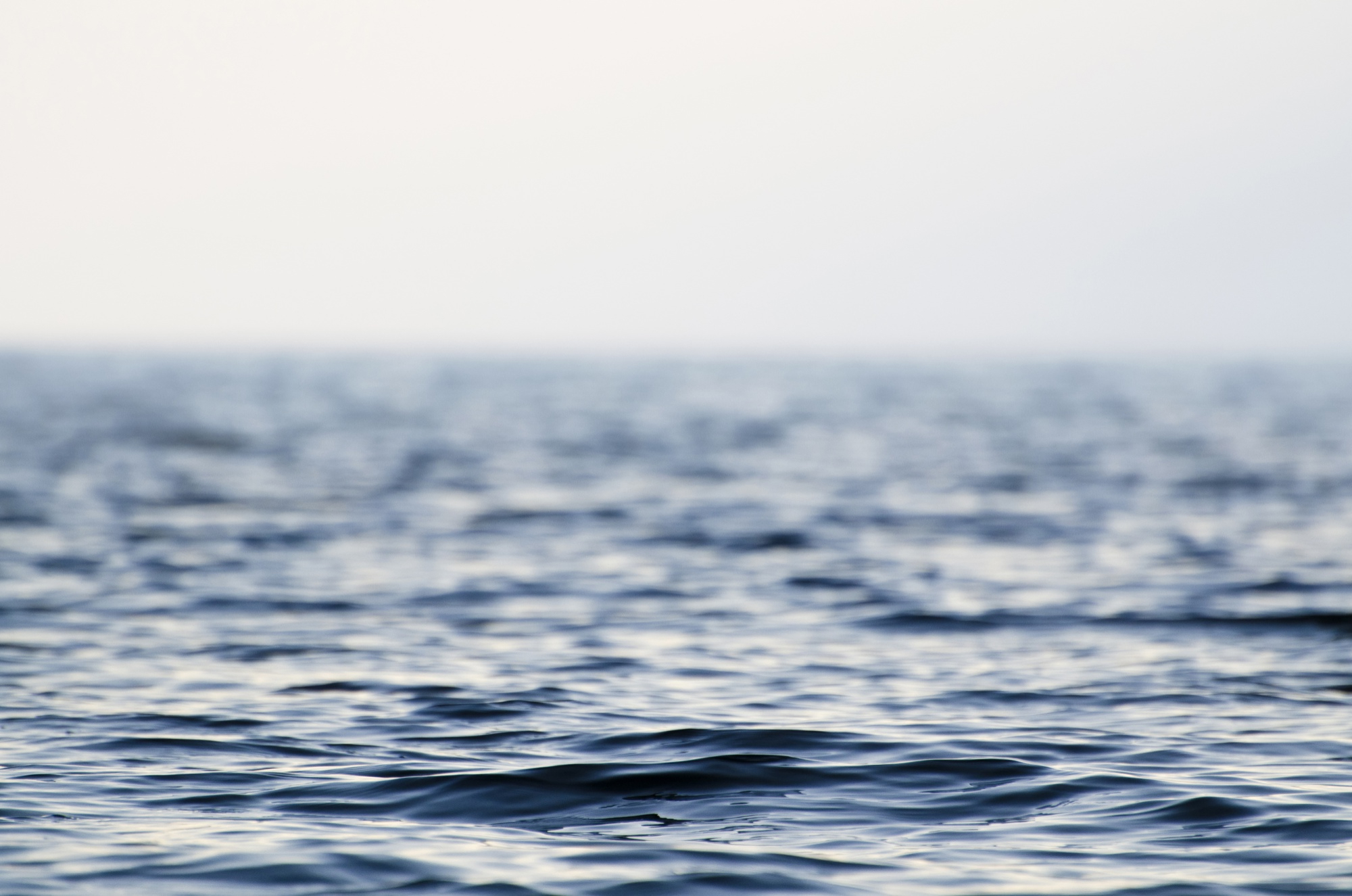 Copernicus: w sobotę padł absolutny rekord dzienny temperatury wód powierzchniowych oceanów