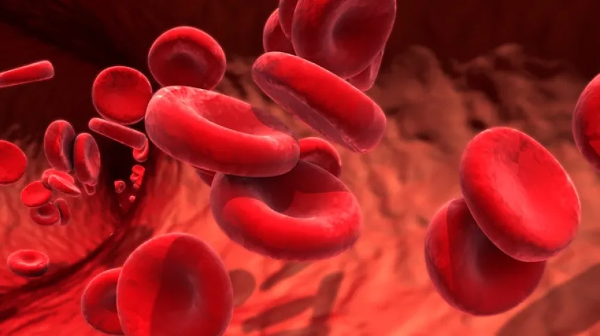 Niskie wyniki hemoglobiny mogą wiązać się z krótszym życiem Niskie wyniki hemoglobiny mogą wiązać się z krótszym życiem
