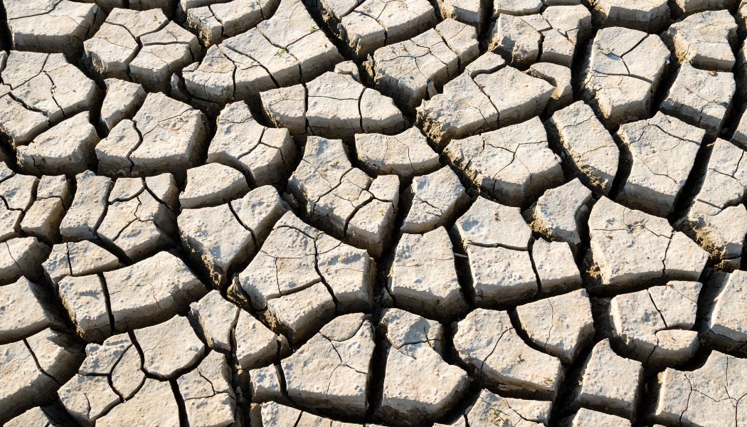 Wrażliwość na zmiany klimatu a adaptacja. Ocena ryzyka