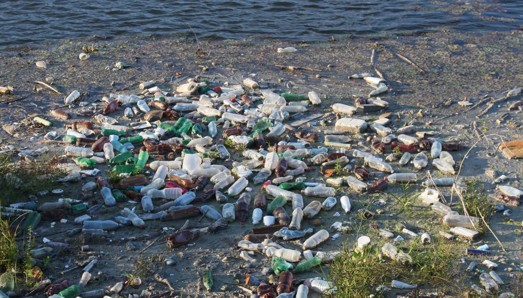 200 kg śmieci w godzinę. Akcja Czysta Wisła bije rekordy na Mazowszu
