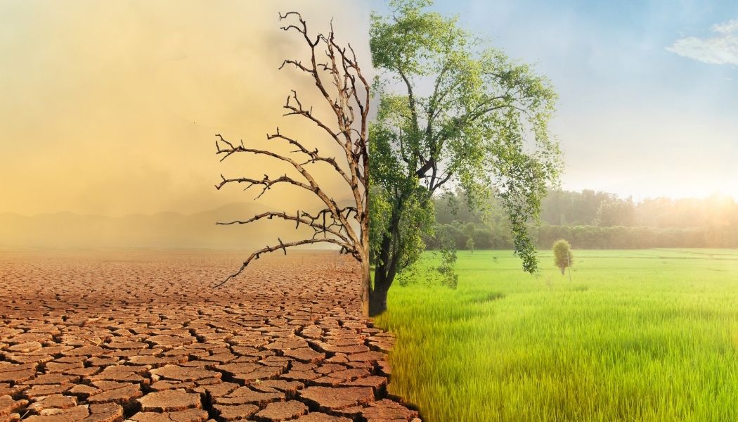Ryzyko klimatyczne: Analiza i adaptacja